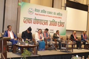 NAFIJ Province Programme 2082