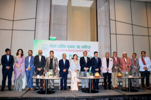 बजेटपछिको नाफिज बहस